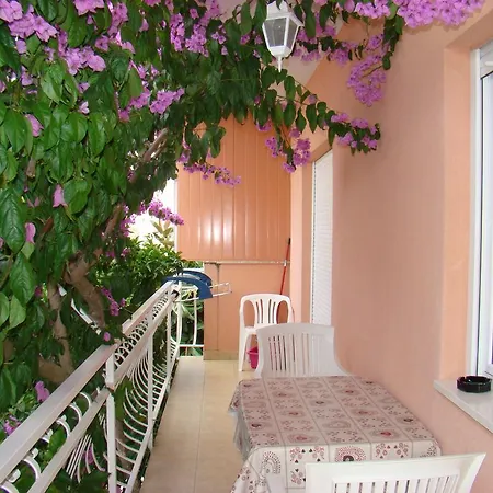 Apartment Zgogo
