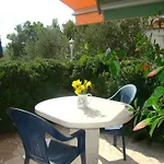 Zgogo * Traù